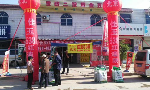 活动现场