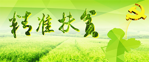 精准扶贫