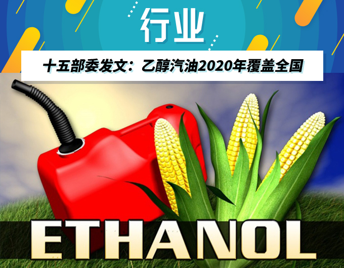 玉米 玉米
